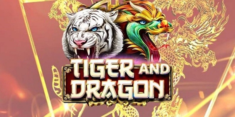 Thuật ngữ quan trọng trong game rồng hổ